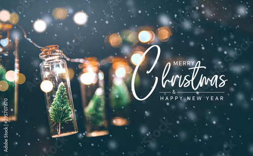 圣诞快乐和新年快乐的概念，近距离，优雅的圣诞树在玻璃罐装饰
