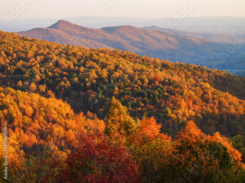 美国弗吉尼亚州谢南多厄国家公园天际线大道上鲜艳的秋叶