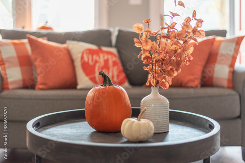 秋季家居装饰采用灰色和橙色调